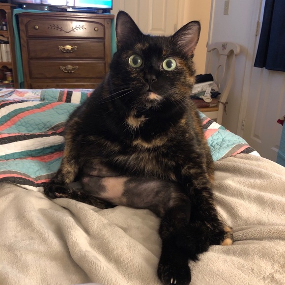 Meet the Posher! - Picture 3 of 6